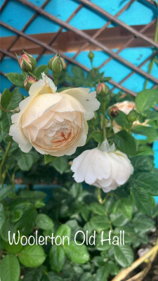 Wollerton Old Hall.jpeg